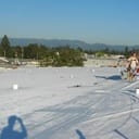 Roofers Installing Synthetic Membrane on a Commercial Roof