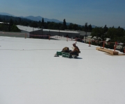 Commercial Synthetic Roofing