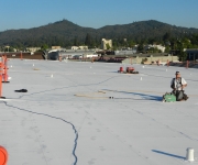 Commercial Synthetic Roofing