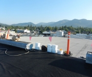 Flat Roofing