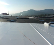 Synthetic Sheet Roofing