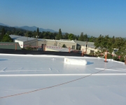 Synthetic Sheet Roofing