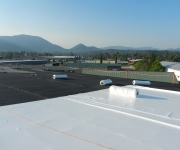 Synthetic Sheet Roofing